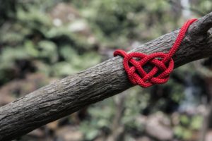 El caos del amor